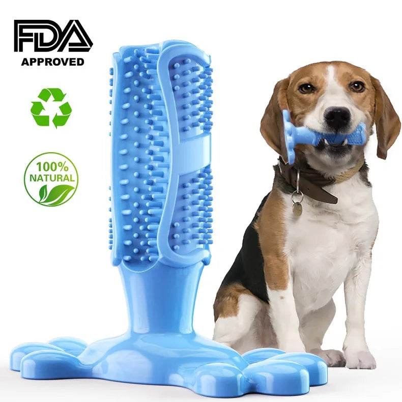 Cactus Snack Chew Toy Dispenser