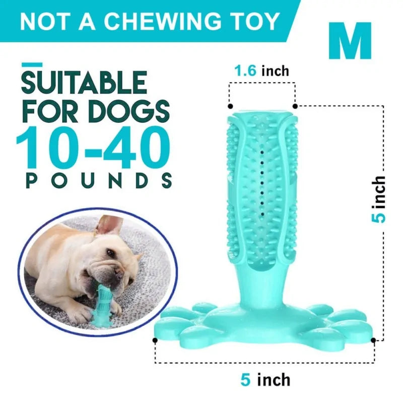 Rubber Dog Chew Toys