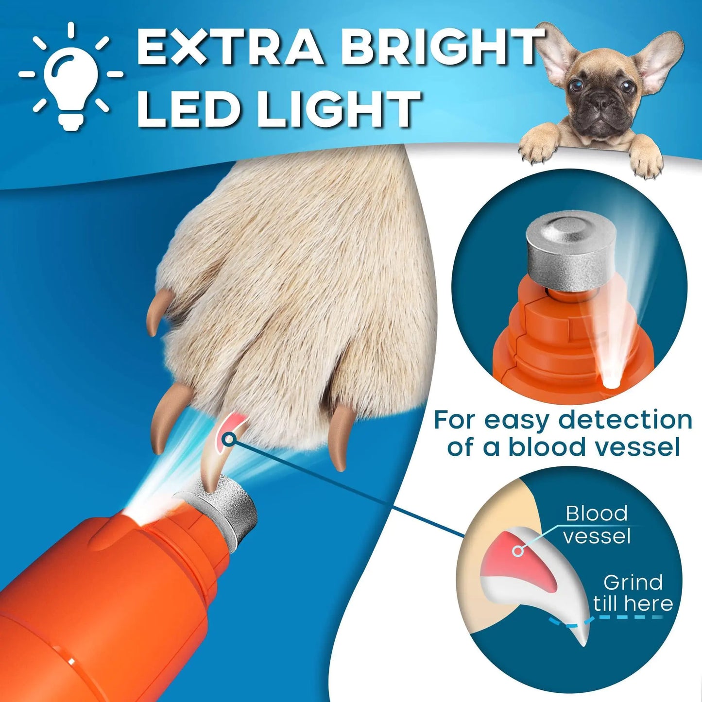 Dog Nail Grinder with LED Light Rechargeable for Large Medium & Small Dogs(Orange)