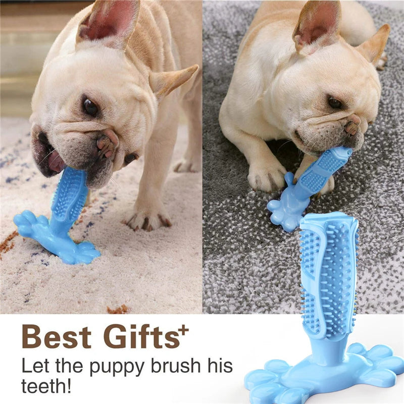 Cactus Snack Chew Toy Dispenser