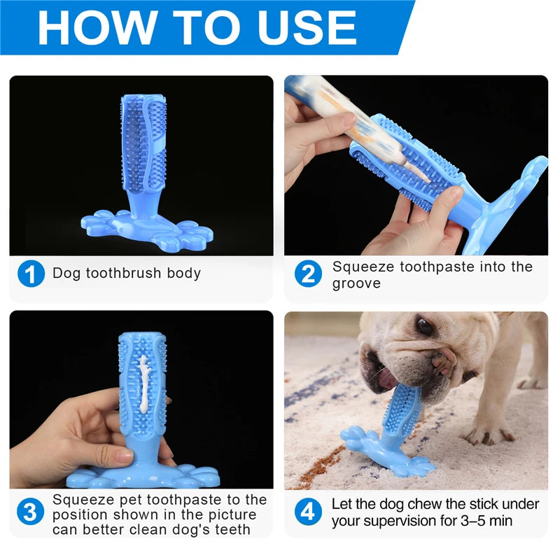 Cactus Snack Chew Toy Dispenser